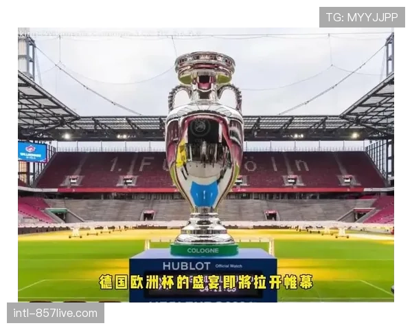 柏林赫塔主场奥林匹克体育场启动草皮更换与排水系统升级工程